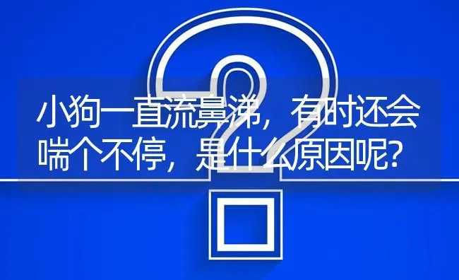 小狗一直流鼻涕，有时还会喘个不停，是什么原因呢？ | 动物养殖问答