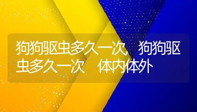 狗狗驱虫多久一次,狗狗驱虫多久一次 体内体外 | 宠物百科知识