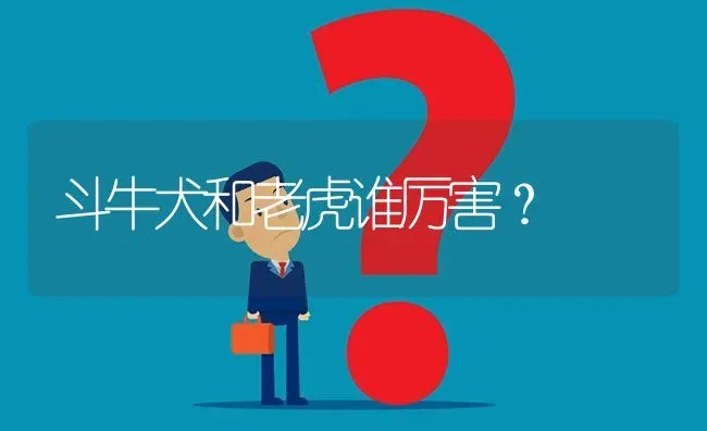 斗牛犬和老虎谁厉害？ | 动物养殖问答