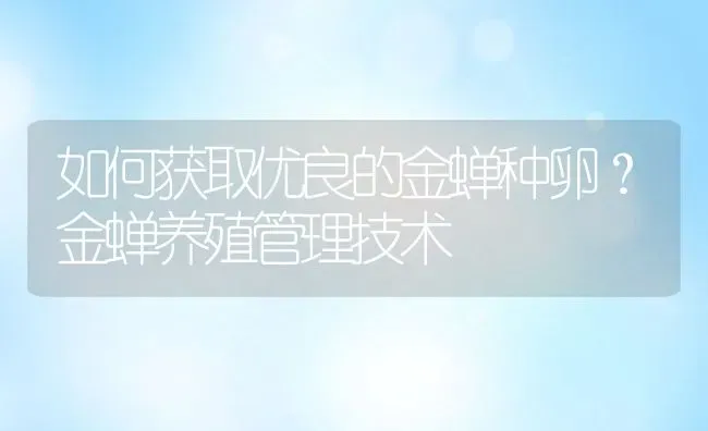 如何获取优良的金蝉种卵？金蝉养殖管理技术 | 动物养殖百科