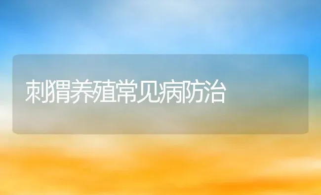 刺猬养殖常见病防治 | 动物养殖百科