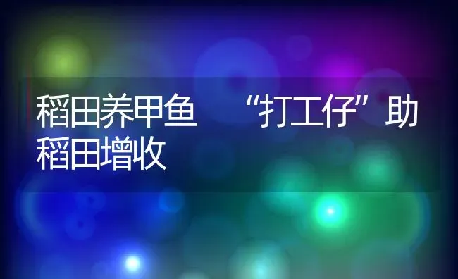 稻田养甲鱼 “打工仔”助稻田增收 | 动物养殖百科