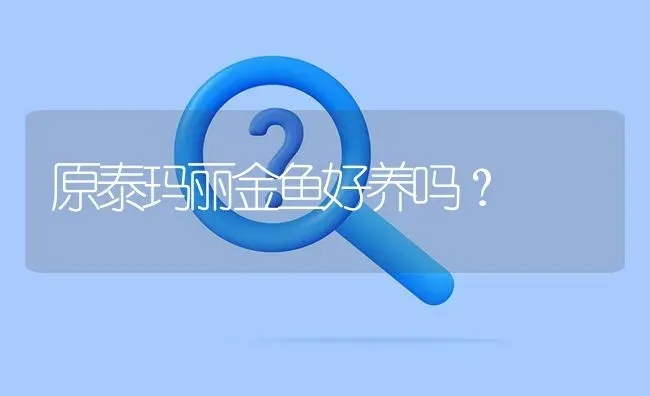 原泰玛丽金鱼好养吗？ | 鱼类宠物饲养