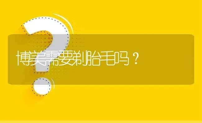 博美需要剃胎毛吗？ | 动物养殖问答