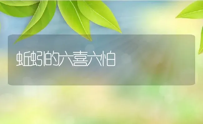 蚯蚓的六喜六怕 | 动物养殖教程