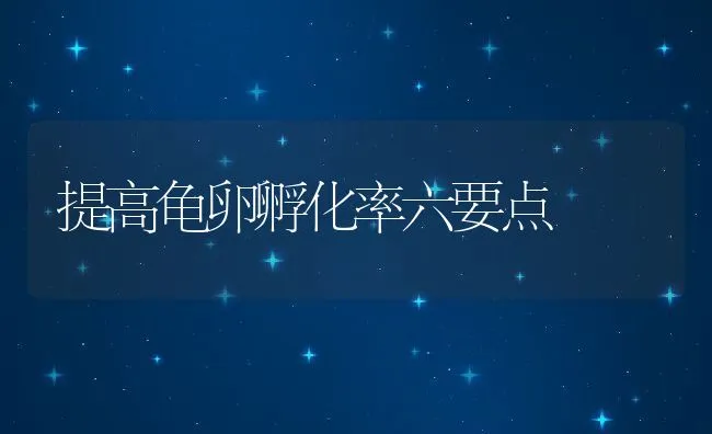 提高龟卵孵化率六要点 | 动物养殖饲料