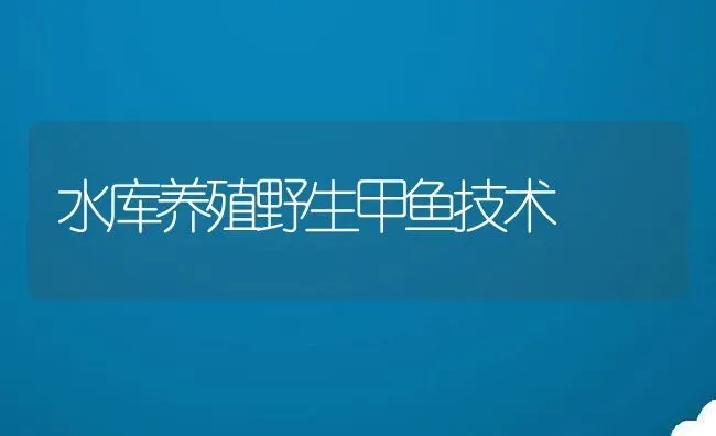 水库养殖野生甲鱼技术 | 动物养殖教程