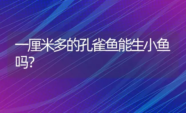 一厘米多的孔雀鱼能生小鱼吗？ | 鱼类宠物饲养