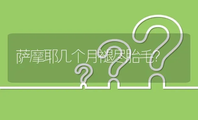 萨摩耶几个月褪尽胎毛？ | 动物养殖问答