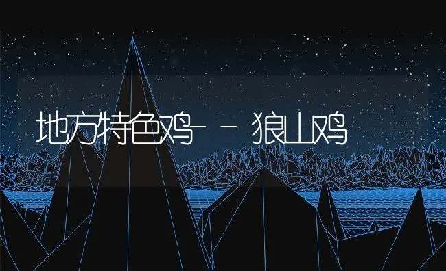 地方特色鸡--狼山鸡 | 动物养殖学堂