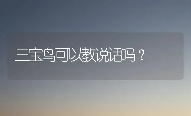 三宝鸟可以教说话吗？ | 动物养殖问答