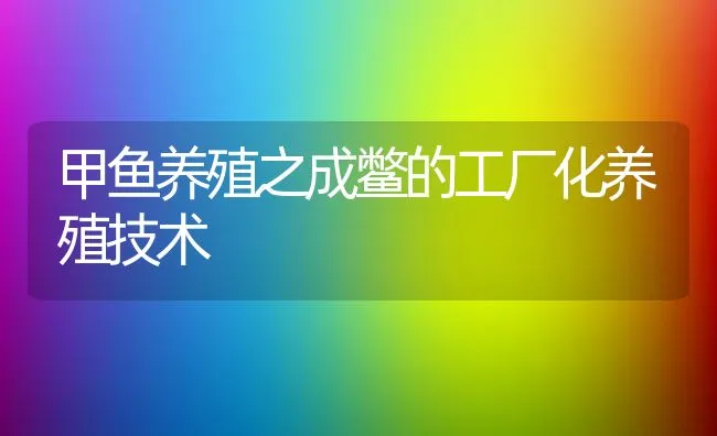 甲鱼养殖之成鳖的工厂化养殖技术 | 水产养殖知识