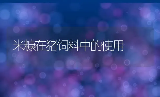 养犬年度管理费引发热议 警方称海口收费不高 | 动物养殖学堂