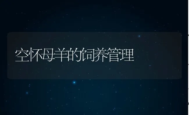 空怀母羊的饲养管理 | 动物养殖学堂