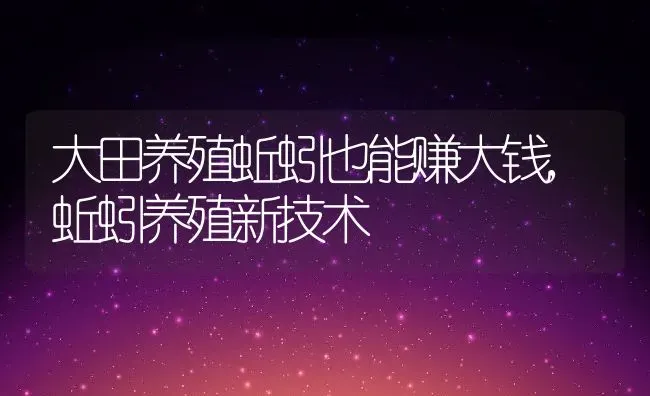 大田养殖蚯蚓也能赚大钱,蚯蚓养殖新技术 | 动物养殖百科