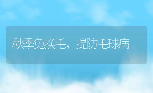 秋季兔换毛，提防毛球病 | 水产养殖知识