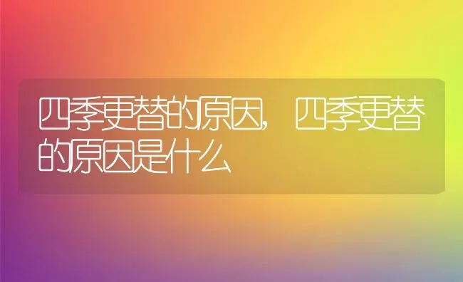 四季更替的原因,四季更替的原因是什么 | 宠物百科知识