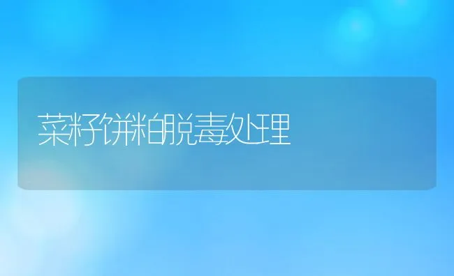 母猪分娩前后怎样加减料 | 动物养殖学堂