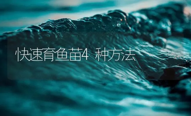 快速育鱼苗4种方法 | 海水养殖技术