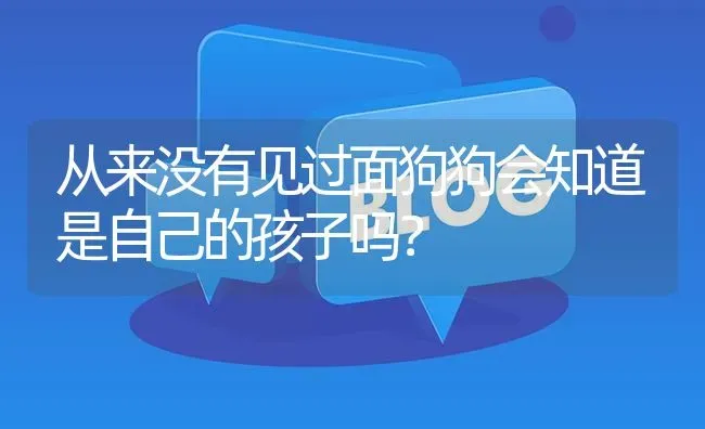 从来没有见过面狗狗会知道是自己的孩子吗？ | 动物养殖问答