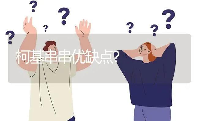 柯基串串优缺点？ | 动物养殖问答