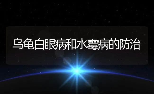 乌龟白眼病和水霉病的防治 | 水产养殖知识