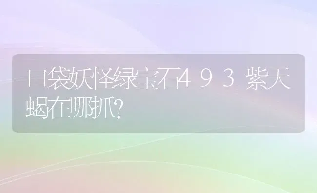 口袋妖怪绿宝石493紫天蝎在哪抓？ | 动物养殖问答