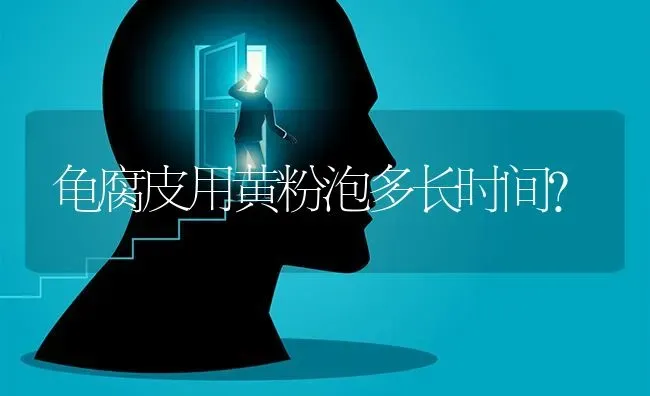 龟腐皮用黄粉泡多长时间？ | 动物养殖问答