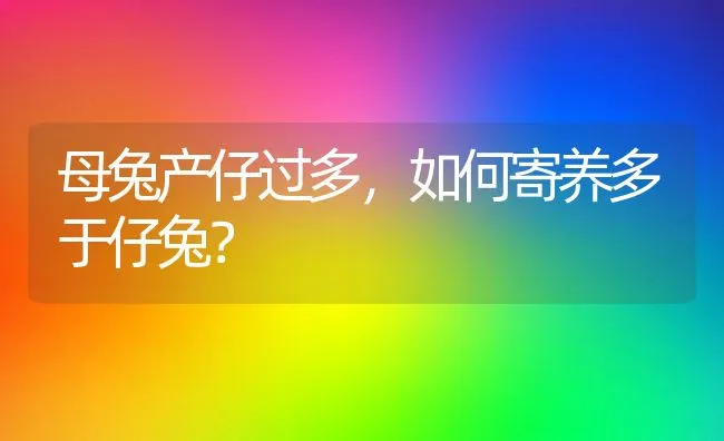 母兔产仔过多，如何寄养多于仔兔？ | 水产养殖知识