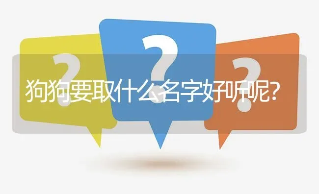 狗狗要取什么名字好听呢？ | 动物养殖问答