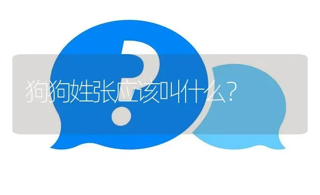 狗狗姓张应该叫什么？ | 动物养殖问答