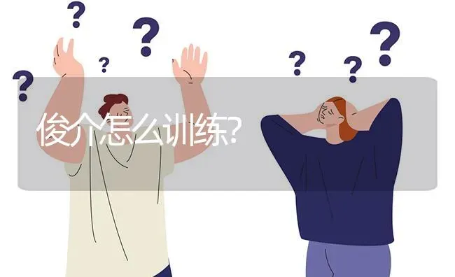 俊介怎么训练？ | 动物养殖问答