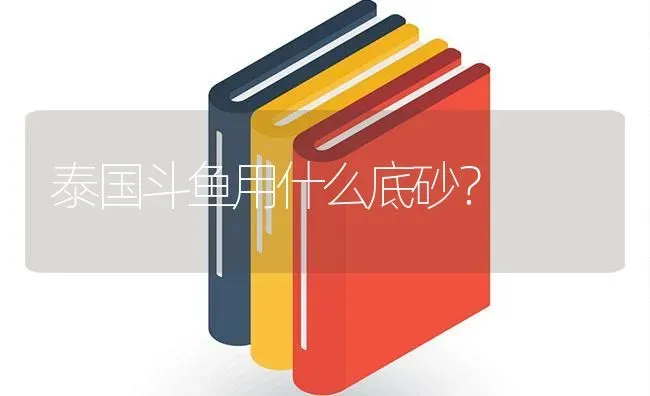 泰国斗鱼用什么底砂？ | 鱼类宠物饲养