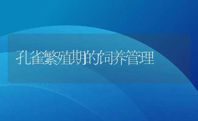 孔雀繁殖期的饲养管理 | 水产养殖知识