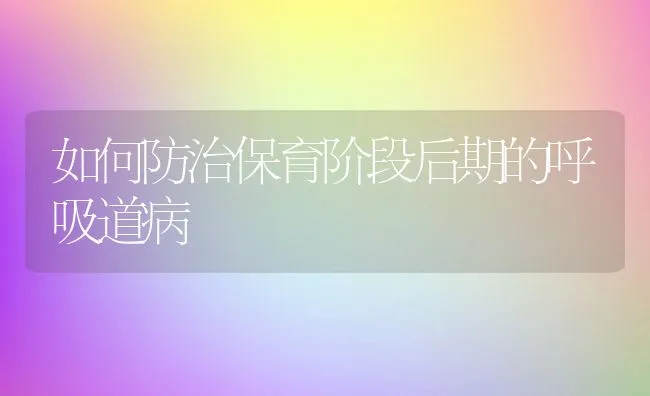 如何防治保育阶段后期的呼吸道病 | 动物养殖学堂