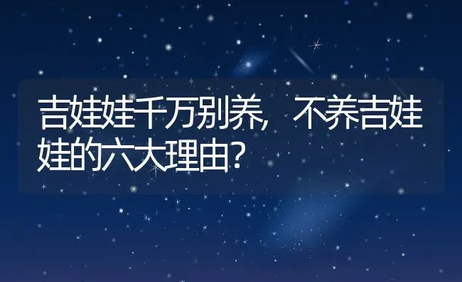 吉娃娃千万别养,不养吉娃娃的六大理由？ | 宠物百科知识