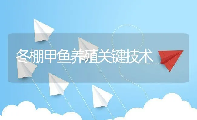 冬棚甲鱼养殖关键技术 | 动物养殖学堂