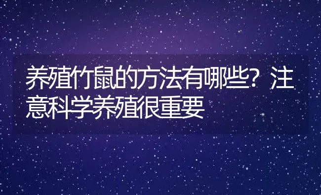 养殖竹鼠的方法有哪些？注意科学养殖很重要 | 动物养殖百科