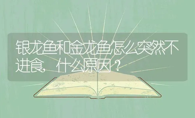 银龙鱼和金龙鱼怎么突然不进食,什么原因？ | 鱼类宠物饲养