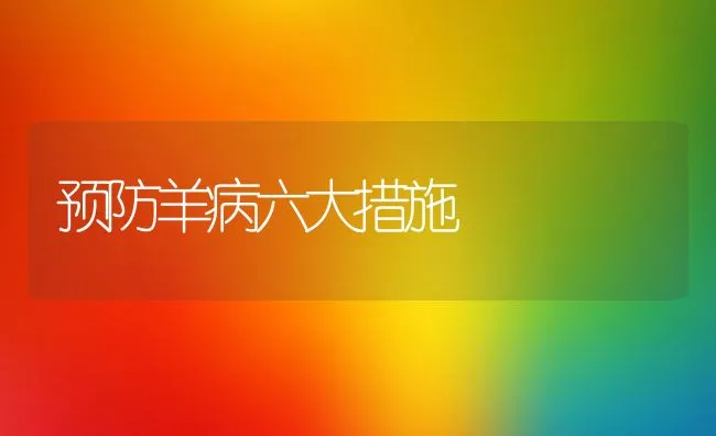 预防羊病六大措施 | 动物养殖学堂