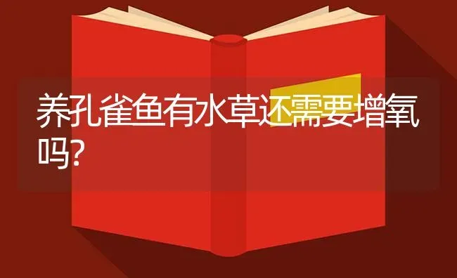 养孔雀鱼有水草还需要增氧吗？ | 鱼类宠物饲养