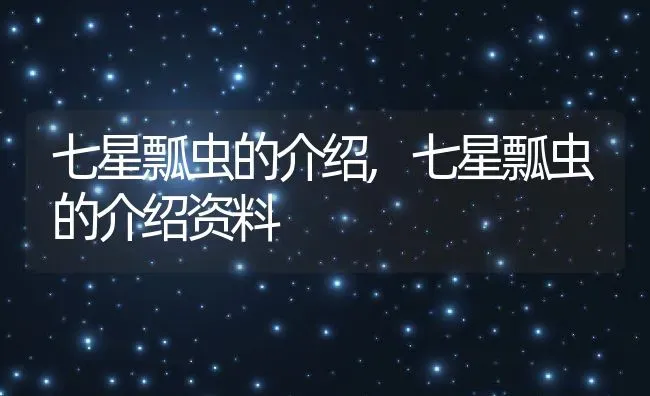 七星瓢虫的介绍,七星瓢虫的介绍资料 | 宠物百科知识