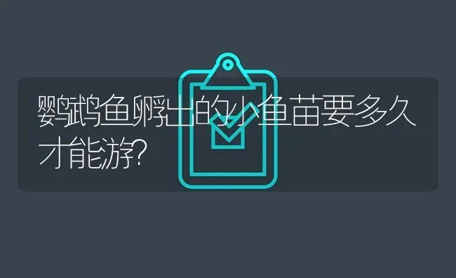 鹦鹉鱼孵出的小鱼苗要多久才能游？ | 鱼类宠物饲养