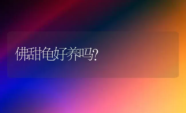 一条狗跑丢后另一条狗能找到吗？ | 动物养殖问答