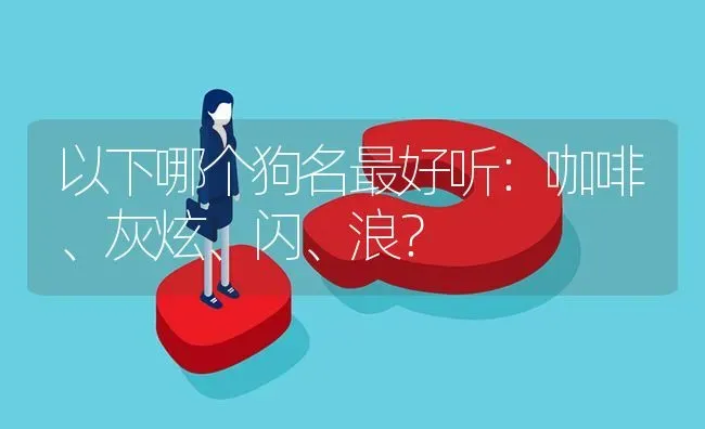 以下哪个狗名最好听：咖啡、灰炫、闪、浪？ | 动物养殖问答