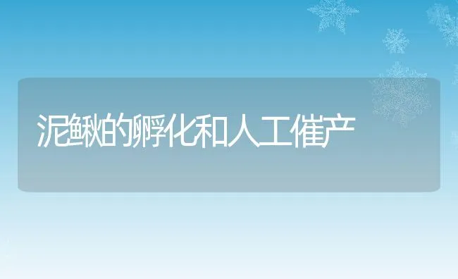 常见三种清塘药物的使用及效果分析 | 海水养殖技术