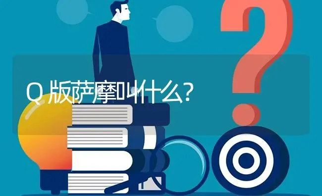 Q版萨摩叫什么？ | 动物养殖问答