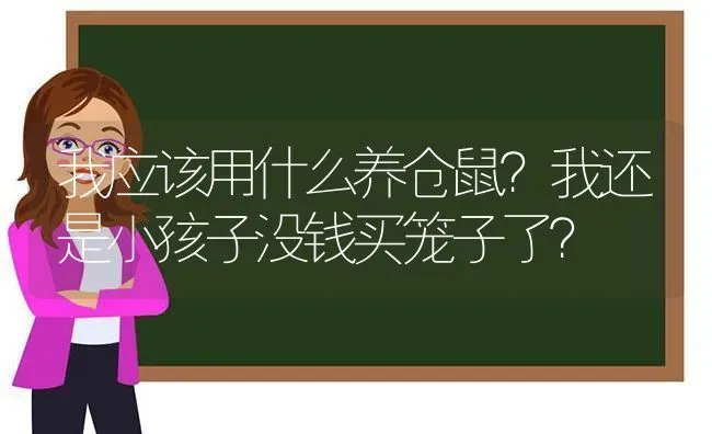 我应该用什么养仓鼠？我还是小孩子没钱买笼子了？ | 动物养殖问答