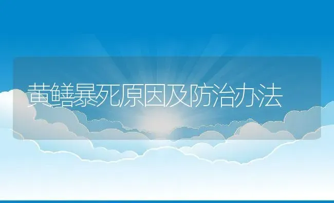 黄鳝暴死原因及防治办法 | 动物养殖百科