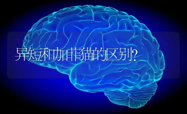 繁星写的现代诗有哪些？ | 动物养殖问答